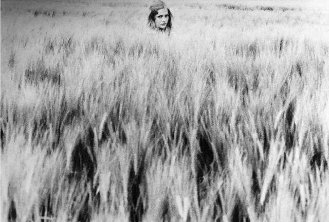 Isabelle Huppert au champ de blé 1972 « César et Rosalie » de Claude Sautet