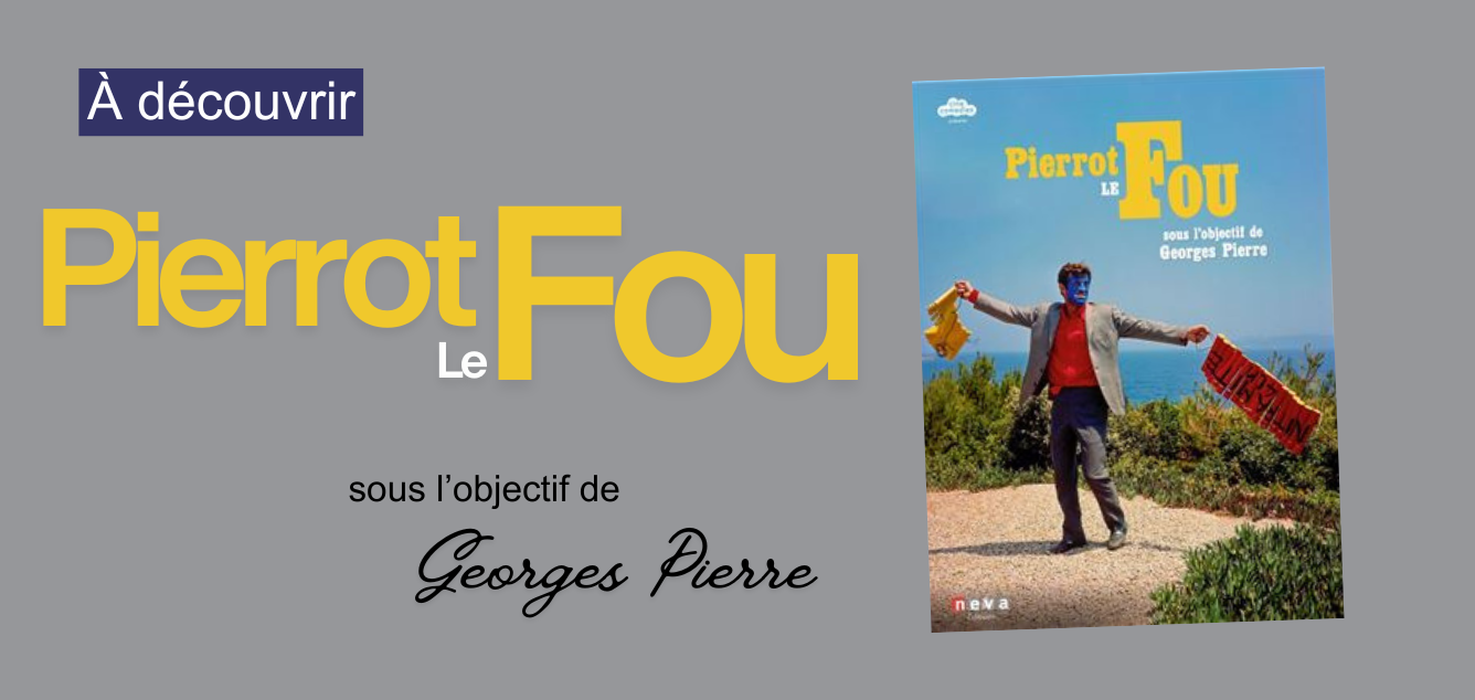 Pierrot Le Fou livre Pierrot Le Fou livre